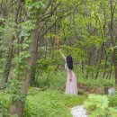 지오 파인트리 이미지