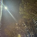 오는날이 장날 | 롯데 크리스마스 마켓 후기 (가는 날이 장날..?)
