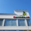 건이네 파충류 이미지