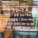 인투캣츠 네이버블로그