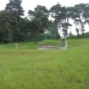 정원용 묘 이미지