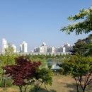 삼산체육관역 1번 출구 Daum카페