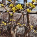 시류