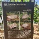 병점동 지석묘(고인돌) 이미지