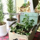 미니박스 이미지