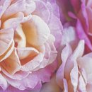 우리들빨래방 이미지