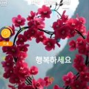 (주)대성케미칼 이미지