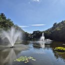 내원정사 옆 이미지