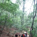 앞산자락길 이미지