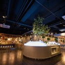 더파티스타 이미지