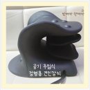 나주의료기 | 의료기기 수동식 공기 주입식 정형용 견인장치 선물 받은 후기