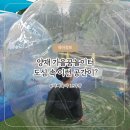 차가꿈 | 에너지 넘치는 아들 둘과 양재 가을꿈놀이터 이용 후기