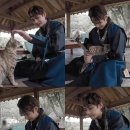 태형 이미지
