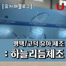 하늘리듬체조 네이버블로그
