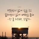 와이즈리서치 이미지