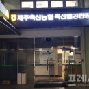 제주축산농협 축산물공판장 이미지