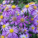 김포공항역 | 김포공항 공식 주차대행 김포공항역 주차장 사전예약 할인