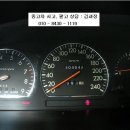 다이너스티 이미지