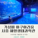 시흥시U-City통합운영센터(도시정보통합센터) | 시흥 해양생태과학관 방문 후기 | 실내 아이랑 가볼만한곳 + 입장료 주차 예약 총정리