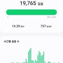 칠천량해전공원 | 거제 칠천도 씨릉섬출렁다리 씨릉섬산책로 칠천량해전공원 걷기 좋은 길