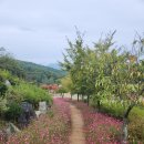 동화마을수목원 | 원주 여행 동화마을 수목원 주차장 및 입장료 방문 후기