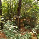 스테이구들 이미지