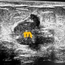 이영미유외과의원 이미지