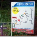 양지-14 이미지
