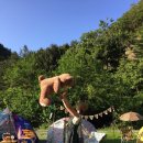 더 씨크릿 이미지