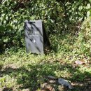 여주-0928 이미지