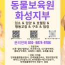 동물보육원 김포지부 이미지