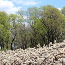 늘푸른농장 이미지