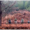 개천사 부도군 이미지