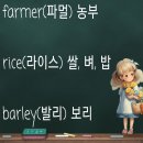 배움이가득한 이곳 장애인샘골야학교 에서는 재미있는 영어수업 이 있습니다. 이미지