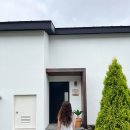 광이멀 103 이미지