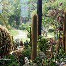 이계신농장 이미지