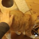 별이와콩이 이미지