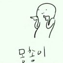 루루애견 이미지