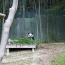 바오 - 수원시 권선구 호매실로104번길 23-33 | 바오