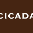 오모테산도카레 이미지