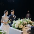 더 메이 호텔 이미지