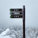 영알 1차:1월3일(토) 영남알프스(가지산+운문산) BAC100대 명산 이미지