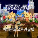 천비룡 | 에버랜드 오후권 할인 꿀팁 | 사파리·퍼레이드·불꽃놀이 토요일 4시 입장 후기