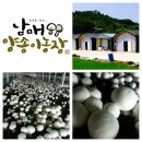 동중농장 이미지