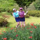 에덴골프 이미지