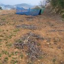 복산리 달천 이미지