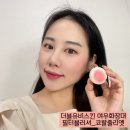 (주)더블유비스킨 | 더블유비스킨 여우화장대 발색력좋은 퍼프 볼터치