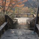 무릉도원면-3 이미지