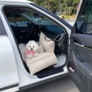 대동세차장 이미지