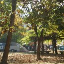 방화동가족휴가촌 이미지